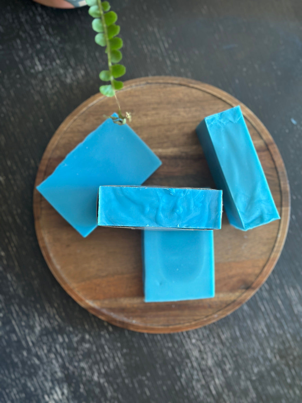 Wake Up in Torch Lake Handcrafted Soap Bar